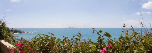 Gaslini vicinissimo - Casa dello Zio - image 4