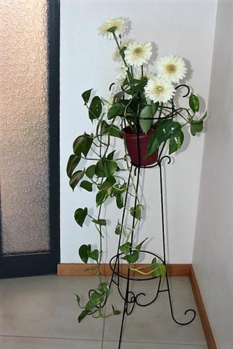 Casa Tania gîte à louer Arco da Calheta