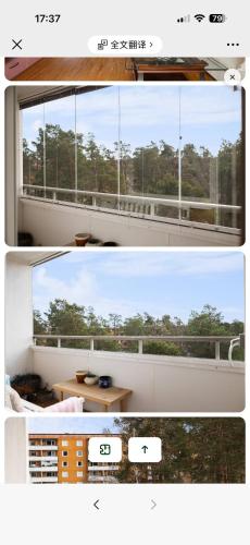 Paradise in 리딘고