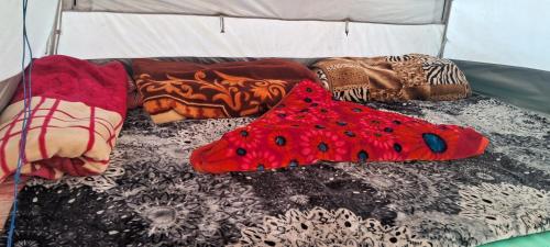 Gurez valley camping site