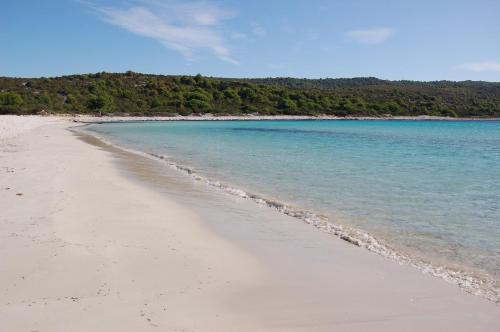 Gorgonia Suites in Verunic - image 12