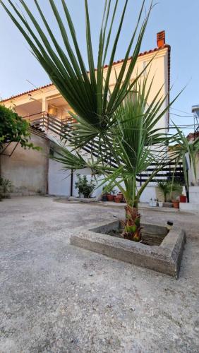 View, Xilagani Central House in Platanitis Maronia