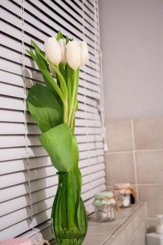 Hullidays - Trinity Studio Apt. - image 6