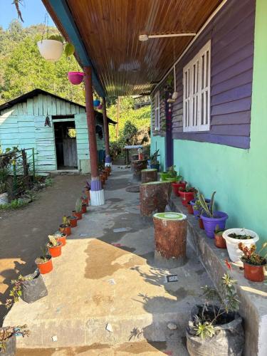 Karki Farm Stay in Milangram