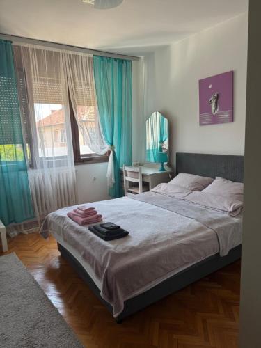 Apartman Ristić (Apartman Ristic) in Pirot