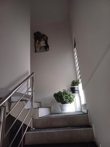 Apartman Miljan