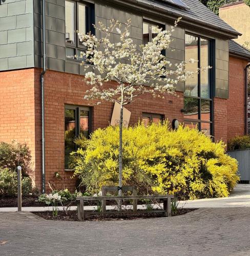 Boutique Exeter Apartment with Paid Parking on Street in Exeter Central