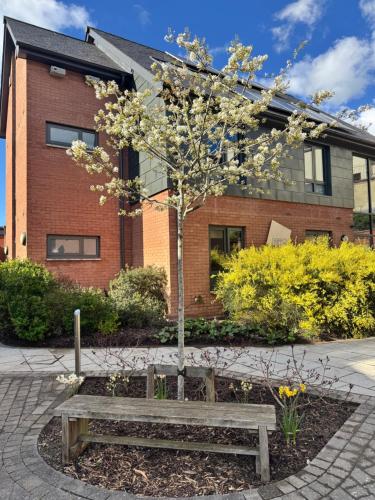 Boutique Exeter Apartment with Paid Parking on Street in Exeter Central