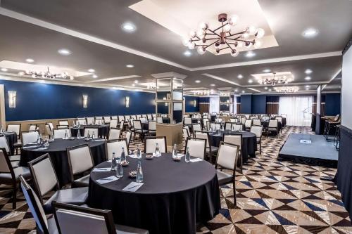 The Royal Sonesta Washington DC Dupont Circle - image 8