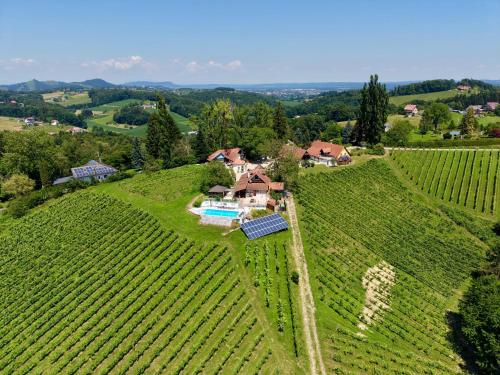 Wohnen am Weinberg vormals Weingut Kofler