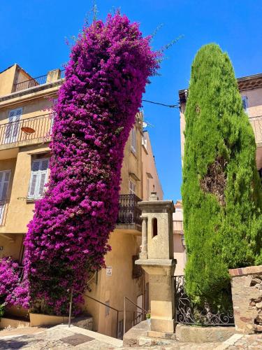 Newly renovated studio - Heart of Le Suquet