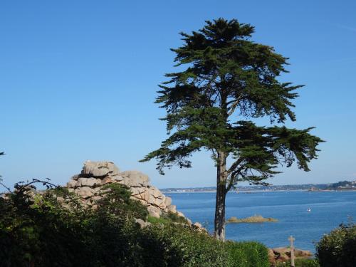 Ty-Aganisia Breizh