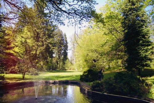 Spa Hotel Garni Löwenstein