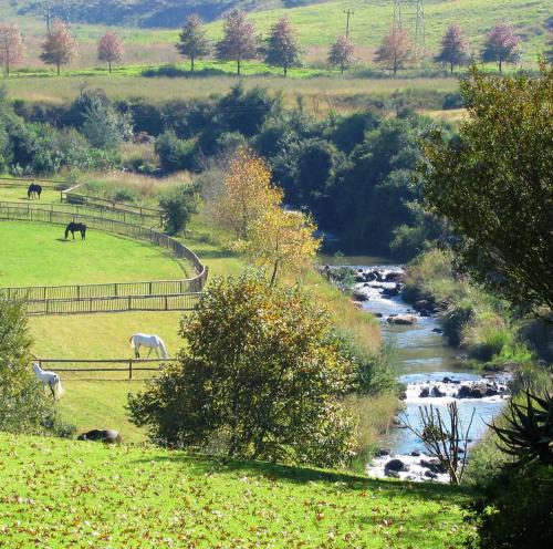 Mill Cottages Howick