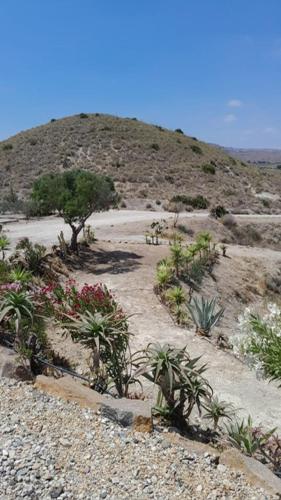 Dārzs, Sunrise Hill Guest House in Los Gallardos
