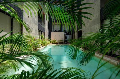 花園, Musa Del Carmen, Centric Apt with Rooftop, Pool, Hot tub, Gym in 卡門海灘