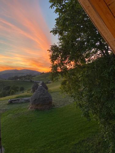Skats, Căsuța Anei (Casuta Anei) in Valea Manastirii