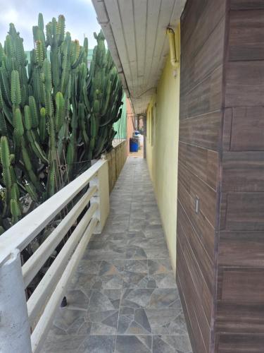 La casa de la Playa in Totolapan