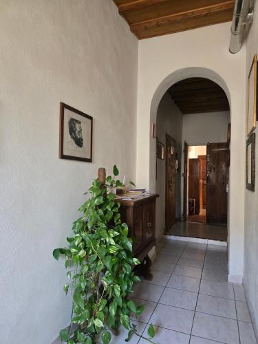 Due Borghi Guest House in 피사