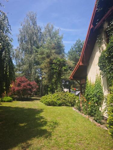 Garden, Wiesiowka nad Wkra in Bledowko