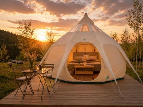Moss | Stargazer Resort bland skog och djur in Åmotsbruk