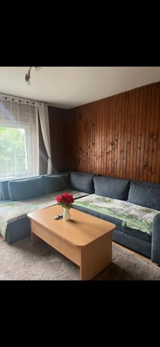 Apartments by Lidija in Medno