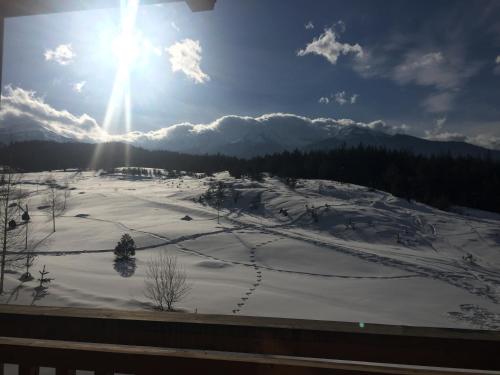 Apartment with Mountain View room in PM Mountain View Fireside Retreat Bansko