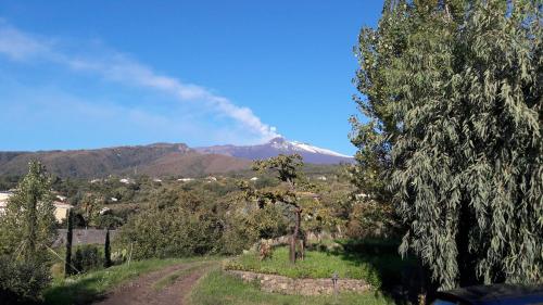 Alberto's Mt.Etna B&B - image 3
