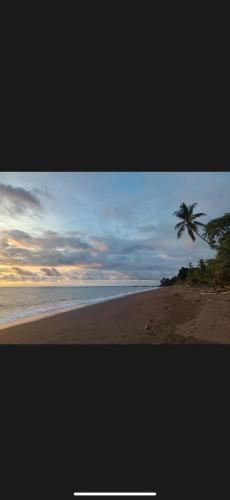 Entire Jungle Chalet Playa Ganadito in 奧薩半島