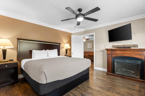 Suite, vistas al patio