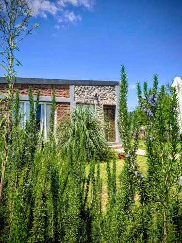 Cabañas 2TIERRAS (Cabanas 2TIERRAS) in 치코아나