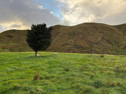 Coast Rd Rural Stay in Whakataki