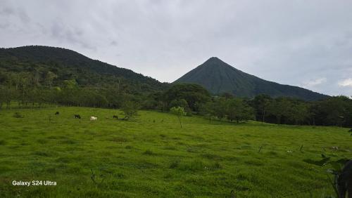 Tío Felix Eco Lodge, Fortuna