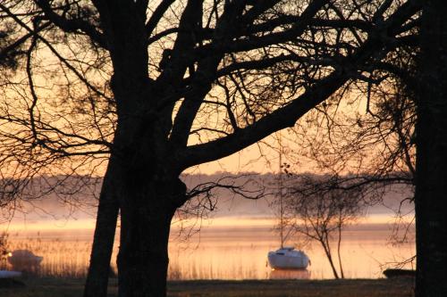 LODGING LE LAC - Camping Lacanau Lac du Moutchic