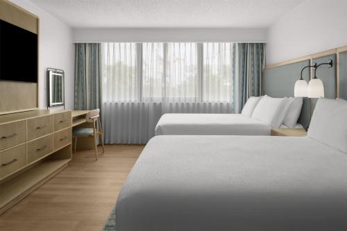 2 queen beds, 1 sofa bed