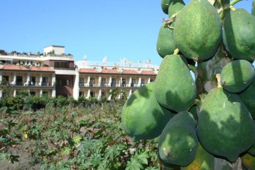 Hotel Gran Rey - image 5
