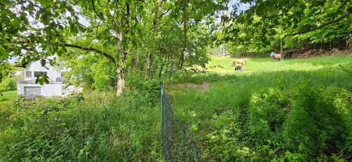 Dārzs, Ferienhaus Panoramablick Altfalter in Schwarzach bei Nabburg