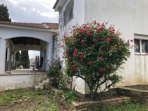 chambre ou studio indépendant - Location saisonnière - Furiani