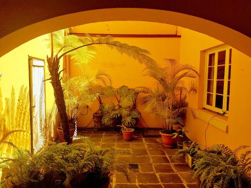 Instalaciones, Casa Carmel Bed & Breakfast in Zona 1