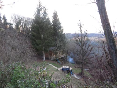 La Cabane aux Sapins