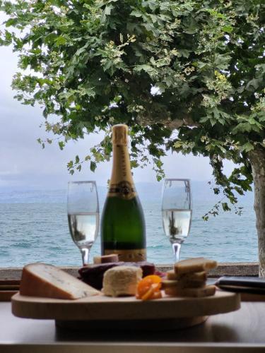 Bord de lac Plage Vue lac Leman Lac Geneva Paddle in Meijerī