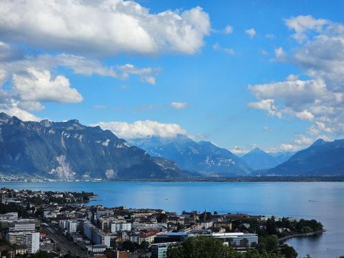 Bord de lac Plage Vue lac Leman Lac Geneva Paddle in Meijerī