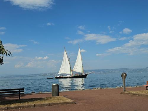 Bord de lac Plage Vue lac Leman Lac Geneva Paddle in Meijerī