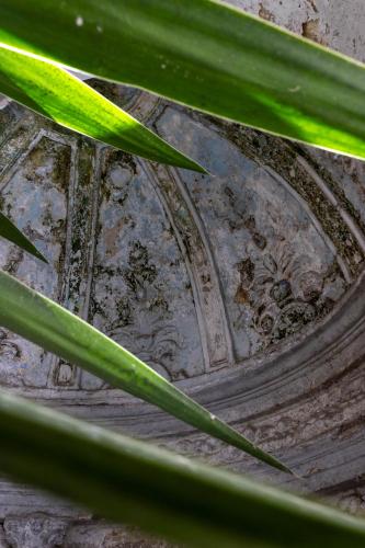 Villa Cua - image 3