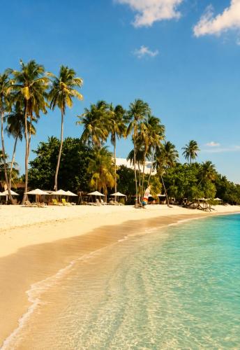 . Samura Panorama Guest House
