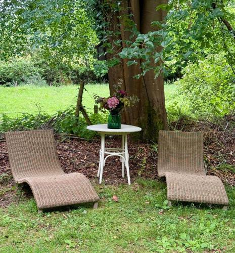 The Cabin at The Oaks in Godshill