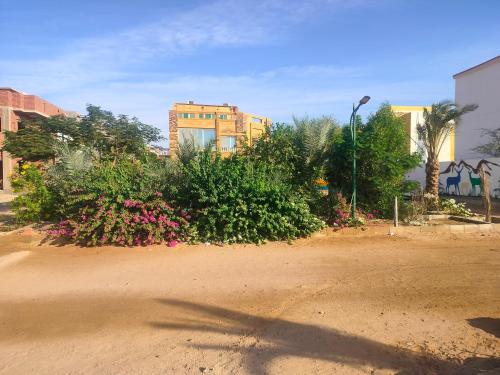 Green villa — other in Peace Road 200A, Dahab Egypt, 46617