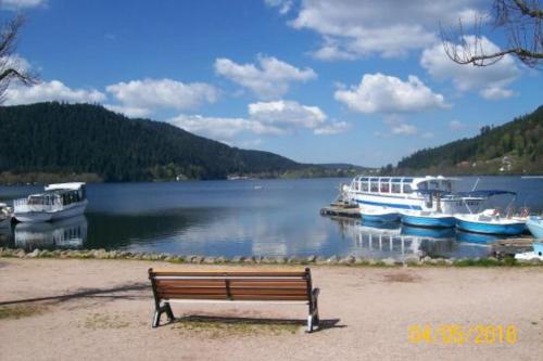 Chalet with garden and terrace in Gérardmer - image 5