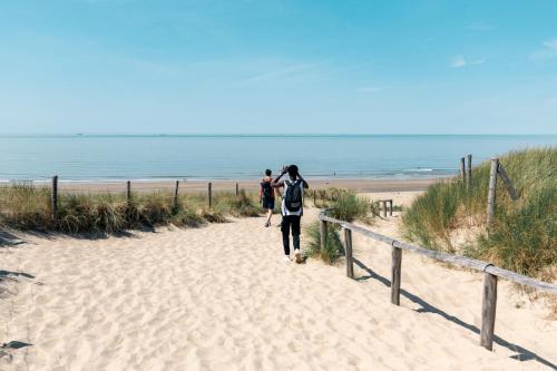 strand, The Flying Pig Beach Hostel in Noordwijk