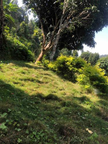 Lanka Farm House -Peaceful hilly home made from Stone and mud in Tansen